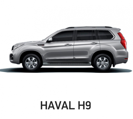 Ремонт Полировка Haval H9